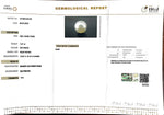 Load image into Gallery viewer, 7.27/CT South Sea Pearl with Govt. Lab Certificate-1550
