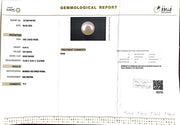 8.84/CT South Sea Pearl with Govt. Lab Certificate-1550