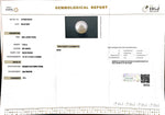 Load image into Gallery viewer, 7.40/CT South Sea Pearl with Govt. Lab Certificate-1550
