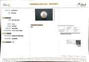 7.40/CT South Sea Pearl with Govt. Lab Certificate-1550