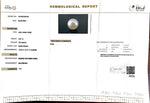 Load image into Gallery viewer, 9.07/CT South Sea Pearl with Govt. Lab Certificate-1550
