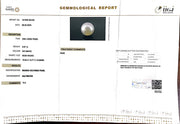 9.07/CT South Sea Pearl with Govt. Lab Certificate-1550