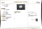 Load image into Gallery viewer, 11.21/CT South Sea Pearl with Govt. Lab Certificate-1550
