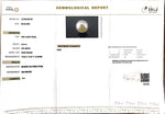 Load image into Gallery viewer, 9.44/CT South Sea Pearl with Govt. Lab Certificate-1550
