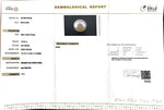 Load image into Gallery viewer, 15.06/CT South Sea Pearl with Govt. Lab Certificate-1550
