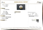 Load image into Gallery viewer, 10.58/CT South Sea Pearl with Govt. Lab Certificate-1550
