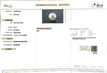 Load image into Gallery viewer, 9.77/CT South Sea Pearl with Govt. Lab Certificate-1550
