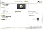 Load image into Gallery viewer, 9.28/CT South Sea Pearl with Govt. Lab Certificate-1550
