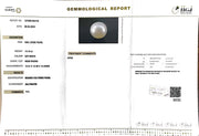 14.10/CT South Sea Pearl with Govt. Lab Certificate-1550