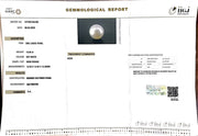 13.95/CT South Sea Pearl with Govt. Lab Certificate-1550