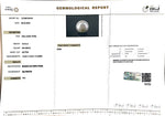 Load image into Gallery viewer, 16.33/CT South Sea Pearl with Govt. Lab Certificate-1550
