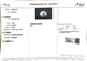 16.33/CT South Sea Pearl with Govt. Lab Certificate-1550