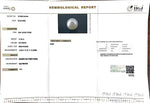 Load image into Gallery viewer, 17.39/CT South Sea Pearl with Govt. Lab Certificate-1550
