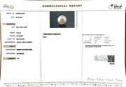 23.65/CT South Sea Pearl with Govt. Lab Certificate-1550