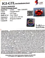 Load image into Gallery viewer, 4.37/CT Natural Govt. Lab Certified Ceylonese Gomed-(1221)
