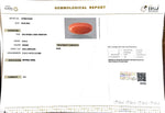 Load image into Gallery viewer, 8.24/Carat Natural Japanese Red Coral-7100
