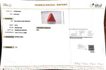 Load image into Gallery viewer, 7.98/CT Natural Triangular Red Coral-2500
