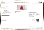Load image into Gallery viewer, 7.60/CT Natural Triangular Red Coral-2500
