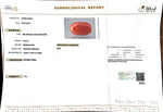 Load image into Gallery viewer, 18.28/Carat Natural Cylindrical Red Coral-3100
