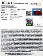 Load image into Gallery viewer, 4.80/CT Natural Govt. Lab Certified Ceylonese Gomed-(1221)
