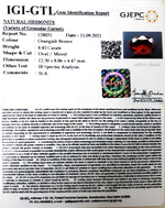 Load image into Gallery viewer, 4.93/CT Natural Govt. Lab Certified Ceylonese Gomed-(1221)

