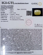 Load image into Gallery viewer, 8.26/CT Natural Yellow Sapphire with Govt Lab Certificate-(1221)
