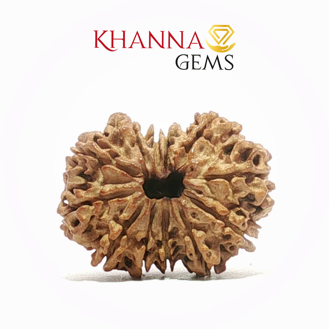 12 MUKHI NEPALI RUDRAKSHA