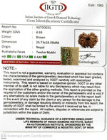 Load image into Gallery viewer, 12 MUKHI NEPALI RUDRAKSHA