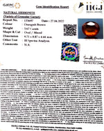 Load image into Gallery viewer, 3.67/CT Natural Govt. Lab Certified Ceylonese Gomed-(1221)
