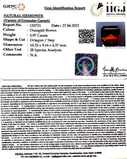 3.97/CT Natural Govt. Lab Certified Ceylonese Gomed-1221