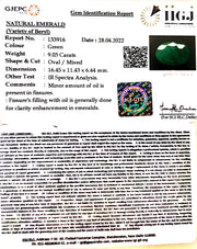 9.03/CT Natural Panna Stone with Govt. Lab Certified (4551)