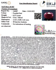 8.23/CT Natural Neo Burma Ruby with Govt. Lab Certificate-(5661)