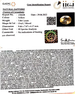 Load image into Gallery viewer, 3.84/CT Natural Ceylonese Pukhraj with Govt Lab Certificate-YELSA9U
