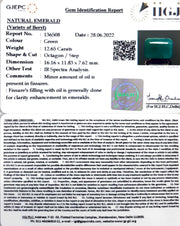 12.65/CT Natural Panna Stone with Govt. Lab Certificate (6771)