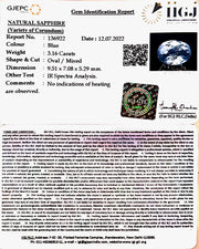 3.16/CT Natural Ceylonese Neelam with Govt Lab Certificate-BLUSA9T