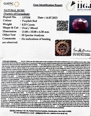 8.53/CT Natural Indian Ruby with Govt. Lab Certificate-2331