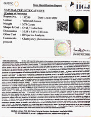 5.73/CT Natural Prehnite cats eye with Govt. Lab certified-(1221)