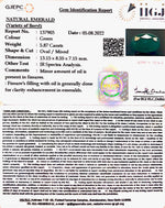 Load image into Gallery viewer, 5.87/CT Natural Panna Stone with Govt. Lab Certified-3441
