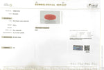 Load image into Gallery viewer, 4.92/CT Natural Red Coral With Govt. Lab Certificate-13884S197972