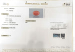 Load image into Gallery viewer, 5.51/CT Natural Red Coral With Govt. Lab Certificate-13884S197974