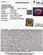 Load image into Gallery viewer, 4.95/CT Natural Mozambique Ruby with Govt. Lab Certificate-(RUBY9U)
