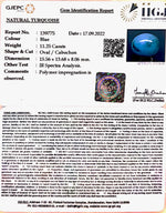 Load image into Gallery viewer, 11.25 Carat Turquoise-(1221)
