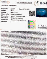 Load image into Gallery viewer, 8.47 Carat Turquoise-(832)
