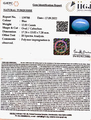 12.81 Carat Turquoise-(832)