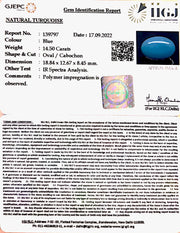 14.50 Carat Turquoise-(832)