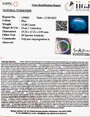 13.88 Carat Turquoise-(1221)