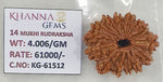 Load image into Gallery viewer, 4.000 Gram Natural 14 Mukhi Rudraksha with Govt. Lab Certificate-KG61512