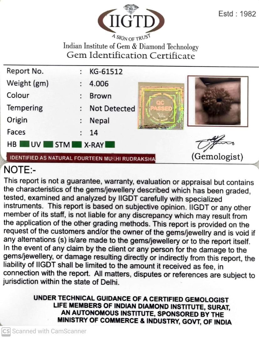 4.000 Gram Natural 14 Mukhi Rudraksha with Govt. Lab Certificate-KG61512