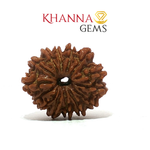 Load image into Gallery viewer, 14 MUKHI NEPALI RUDRAKSHA