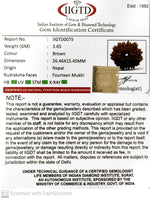 Load image into Gallery viewer, 14 MUKHI NEPALI RUDRAKSHA